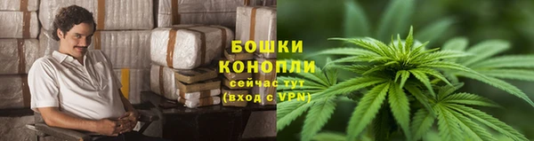 сатива Нижневартовск