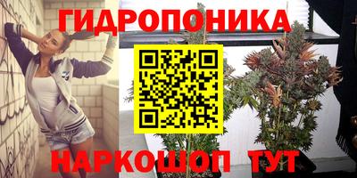 эйфоретик Бийск