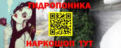 эйфоретик Бийск