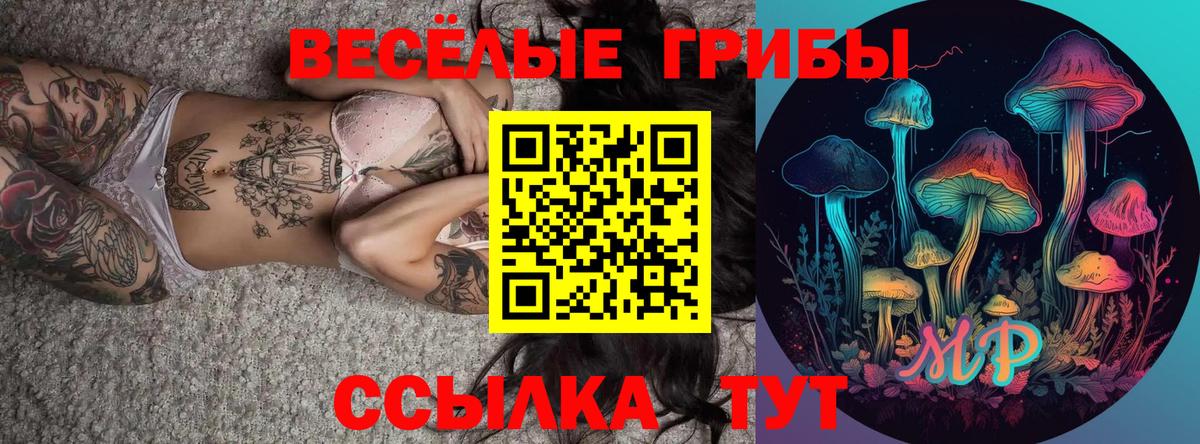 ГАШИШ Георгиевск