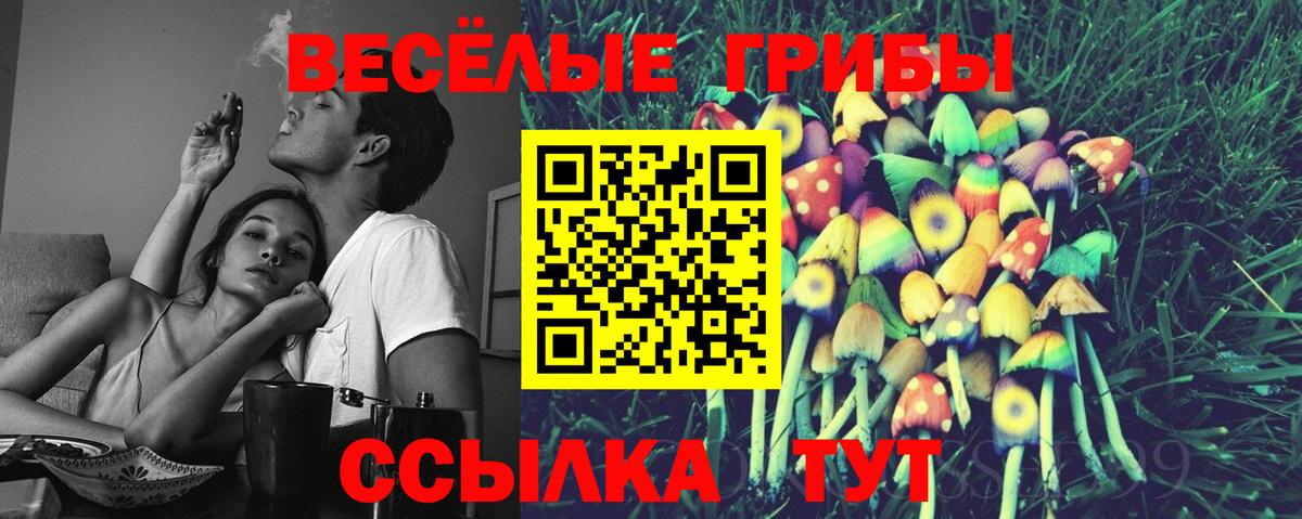 Галлюциногенные грибы Psilocybe  Георгиевск  Псилоцибиновые грибы Magic Shrooms 